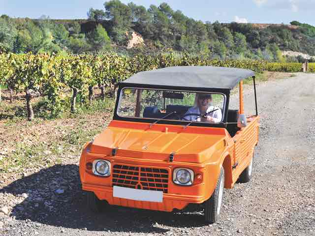 4x4 por viñedos