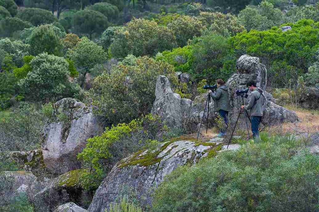 Dos personas mirando por unos prismáticos en la Sierra de Andújar en Jaén