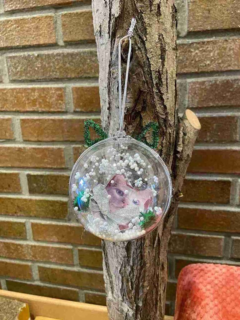 Taller de bolas de navidad en cat café