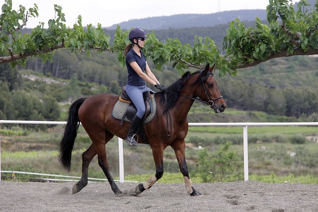 Paseo a caballo