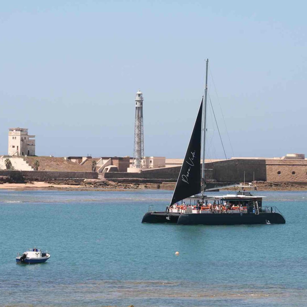 Vista del catamarán de la experiencia