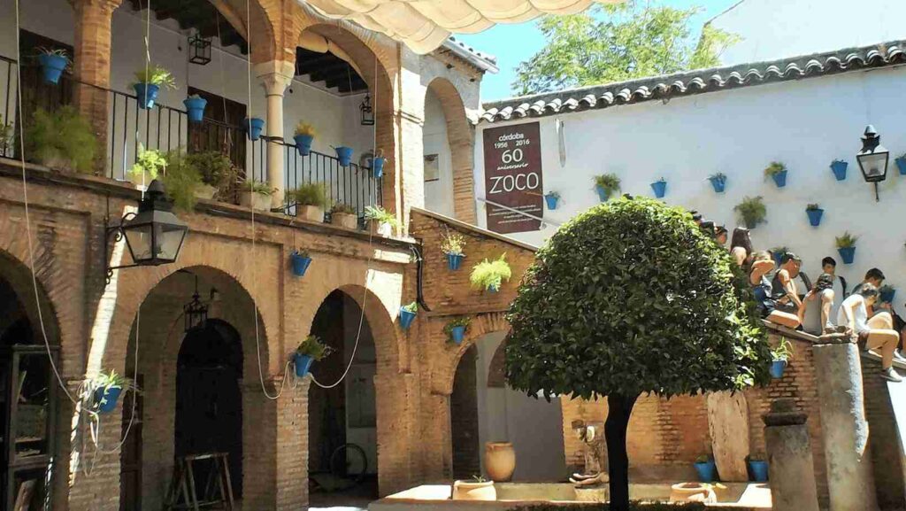Escaleras decoradas con plantas en la judería de córdoba
