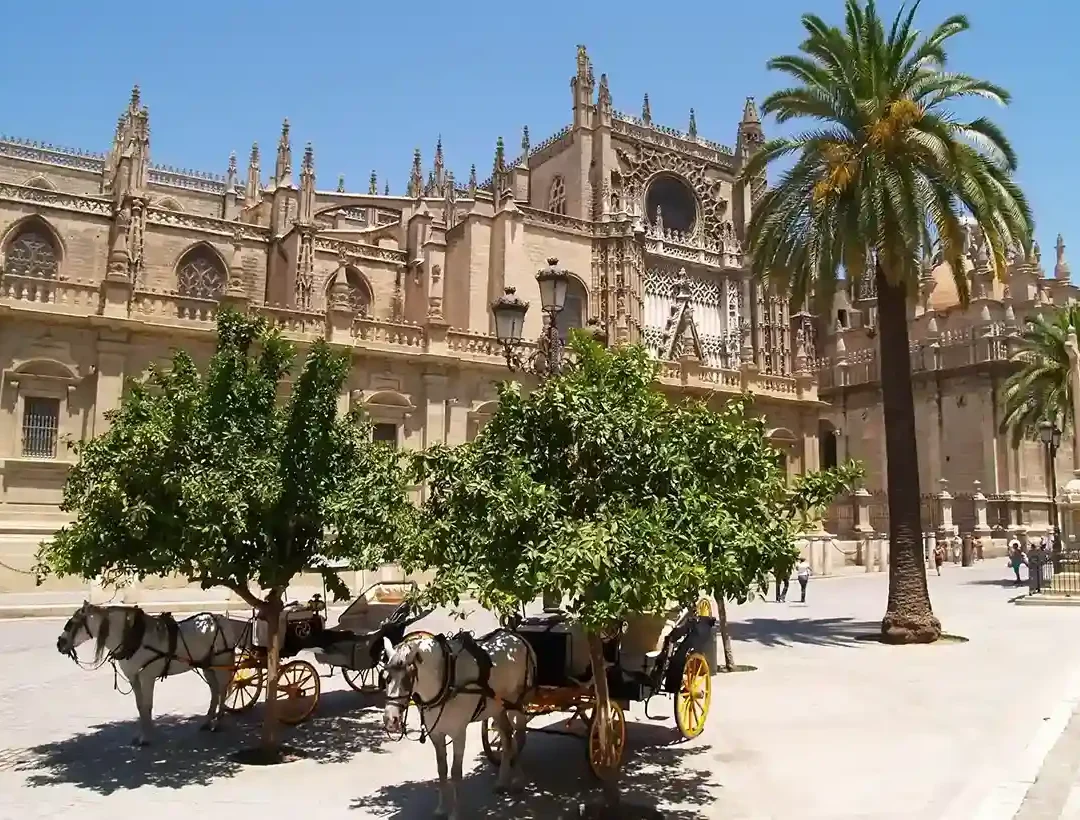 Free Tour en Sevilla