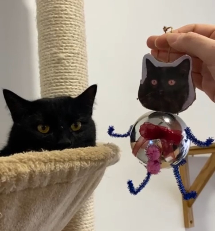 Gato negro al lado de una bola de navidad hecha a mano con su cara