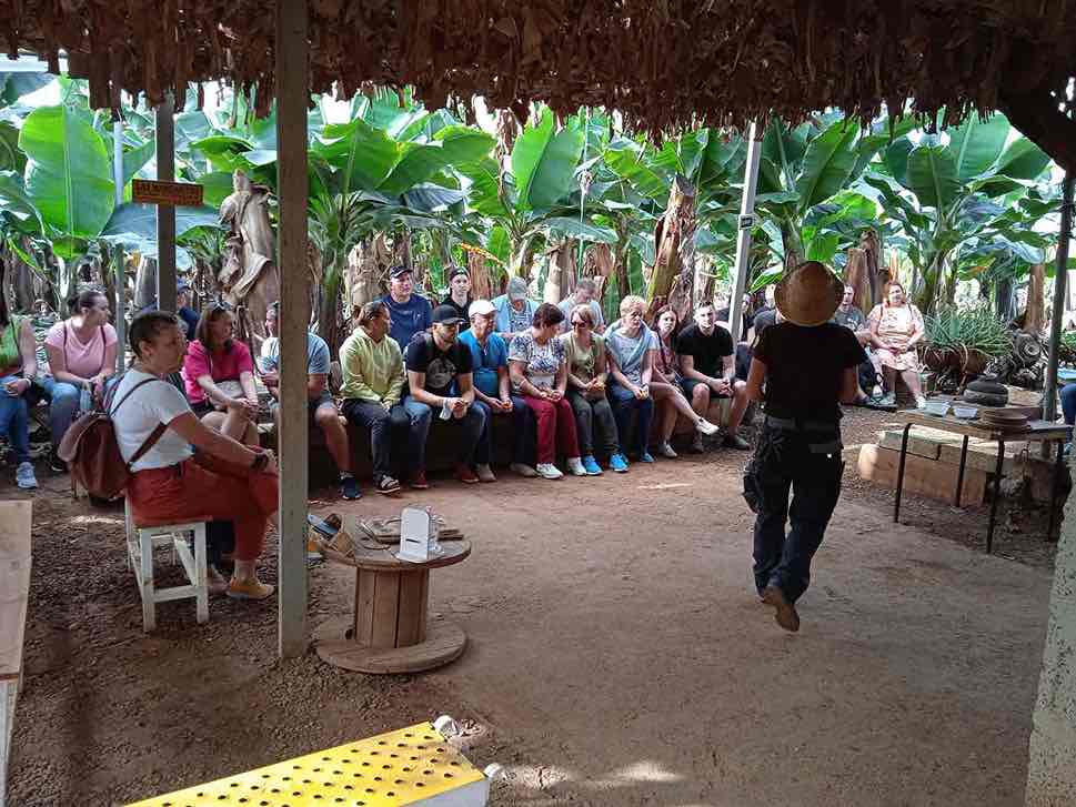 Visita guiada a plantación de plátanos