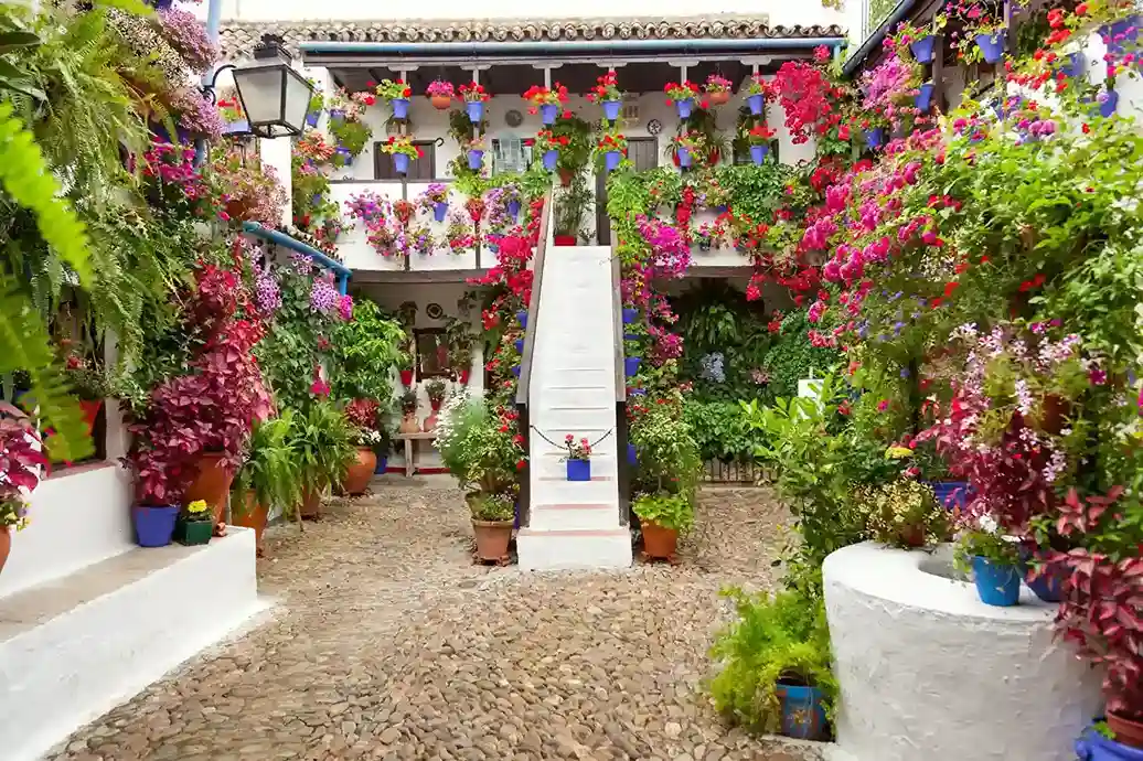 Patio cordobés florido