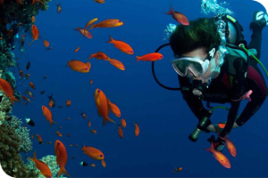 Experiencia de buceo