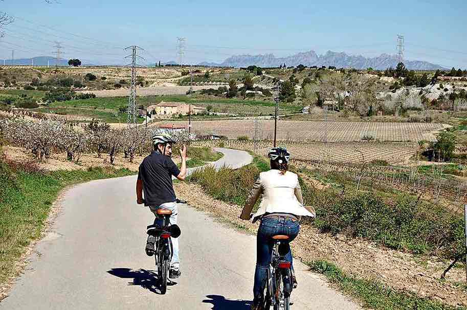 Paseo en bici entre viñedos