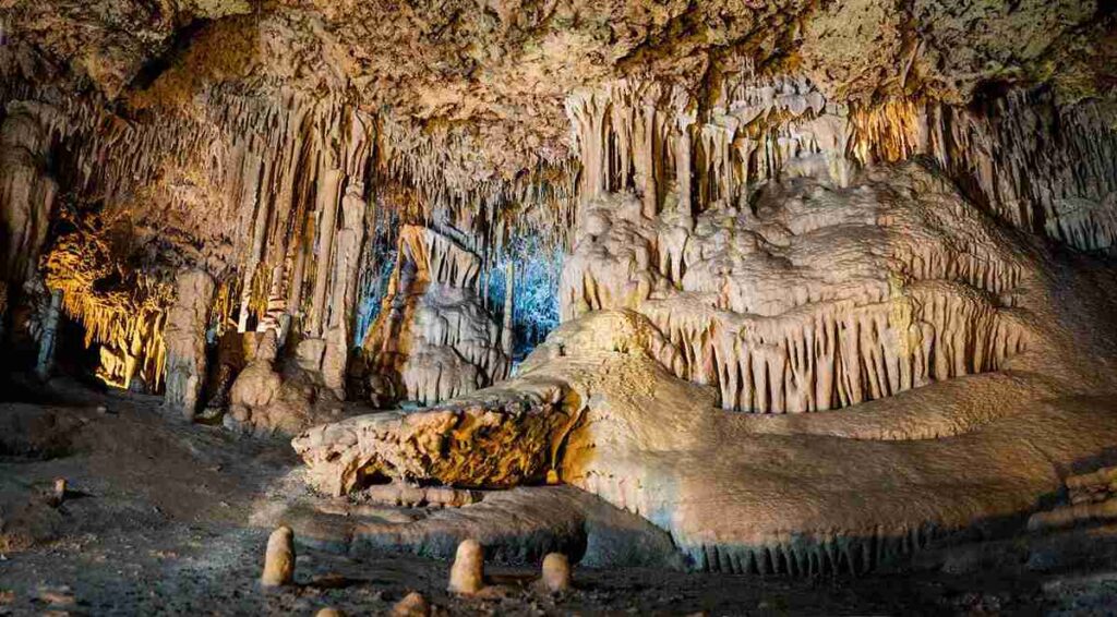 Coves dels hams