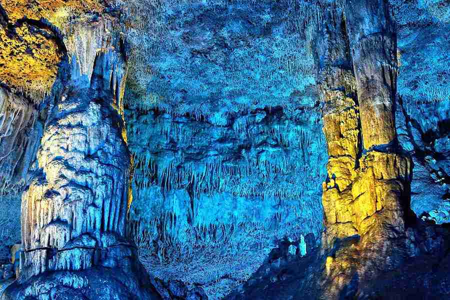 Cova blau hams