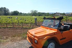 Experiencia de 4x4 por los viñedos