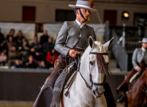 Jinete andaluz a caballo en show ecuestre