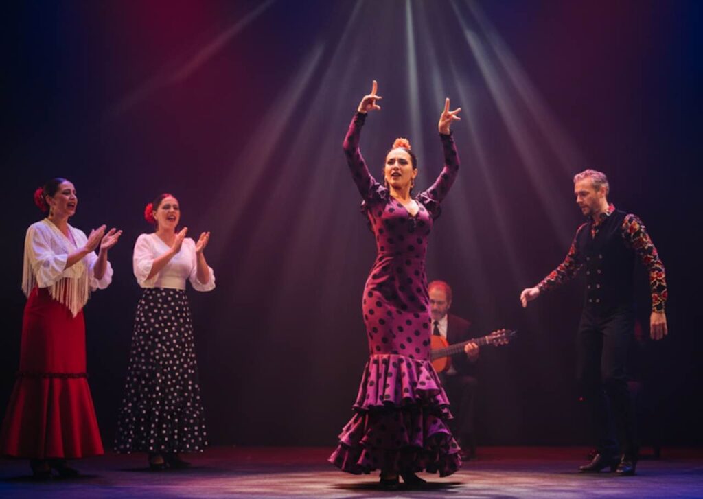 Bailaora flamenca en tablao en Sevilla