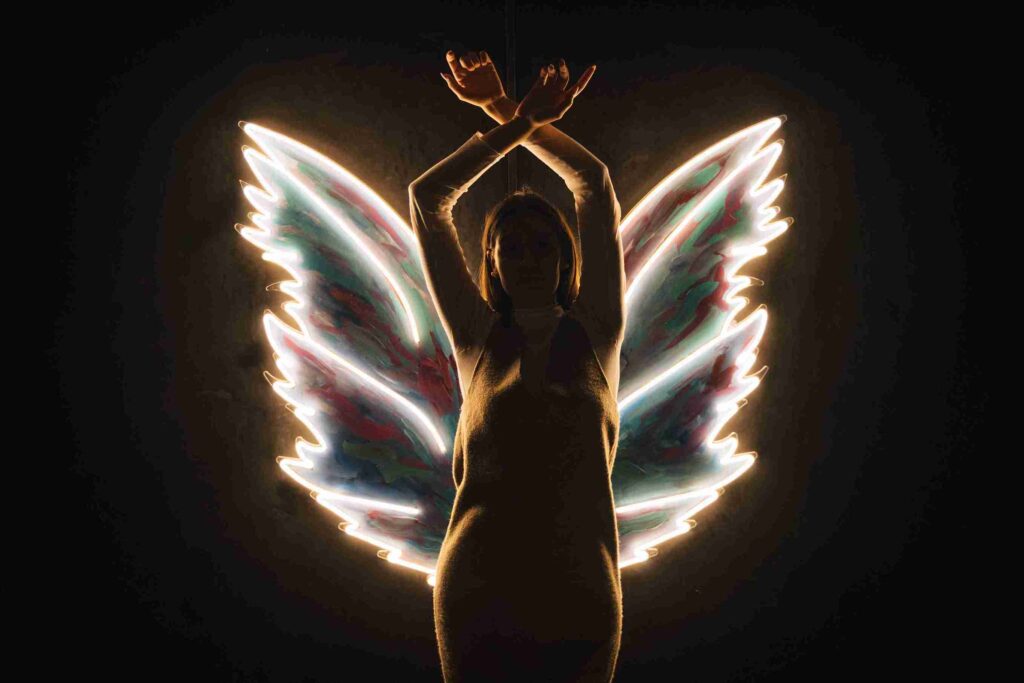 Foto estética que juega con el contraluz de unas alas