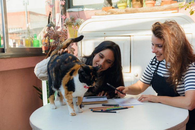 Tricolor Cat walking on the work table and is distracting two Women who are studying at home, they are happy smiling and petting the cat, lifestyle concept